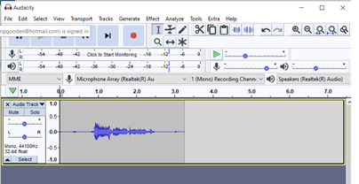 The audio track is visible, the wave&rsquo;s peak where the voice is and are flat during the silences before and after the speech.